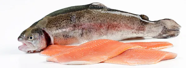 ООО "Крыница" - 1