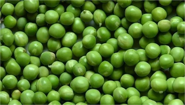 ООО "Грин Фьюлз" - 1