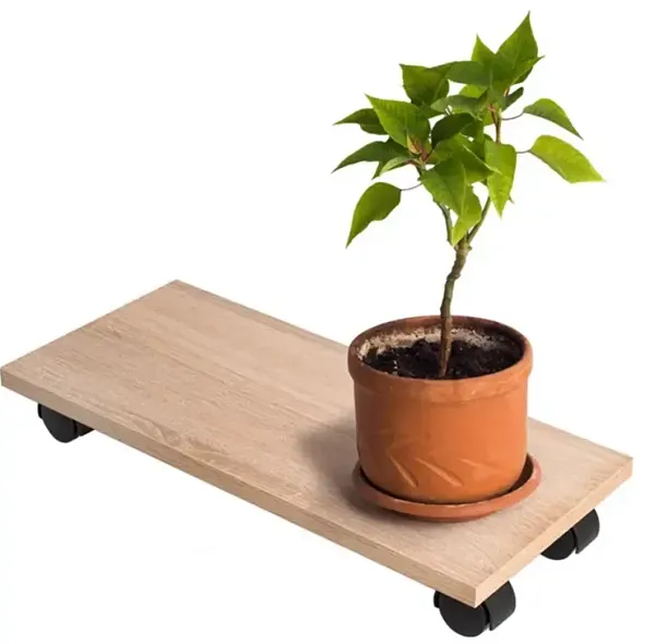 ООО "Дизайн Сервис" - 1