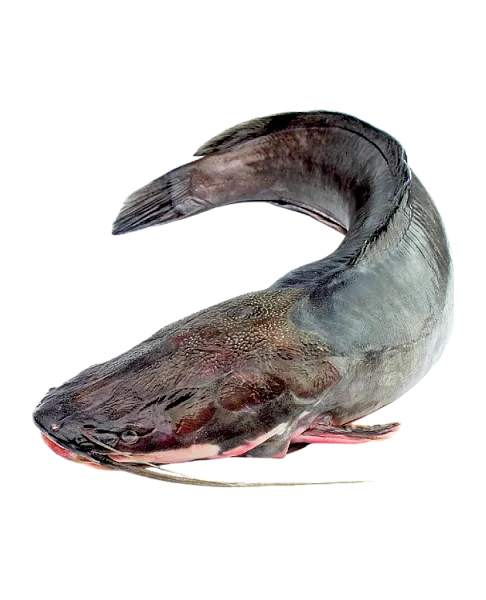 ООО "Нептун" - 1