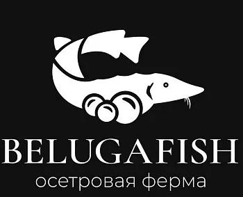 ООО "Нептун"