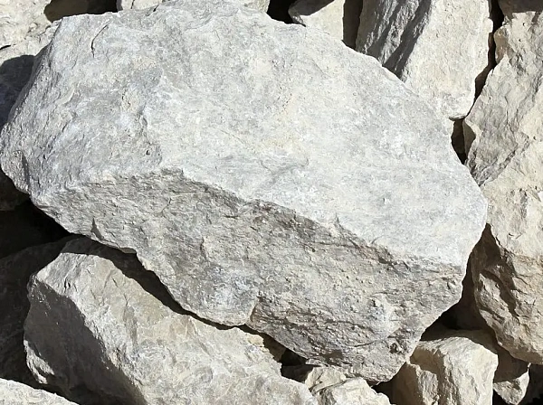 ООО "Белый Камень" - 1