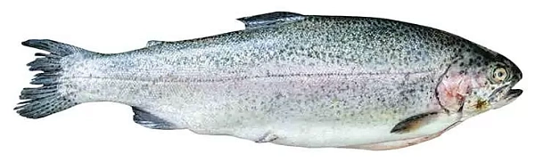 ООО "Крыница" - 1